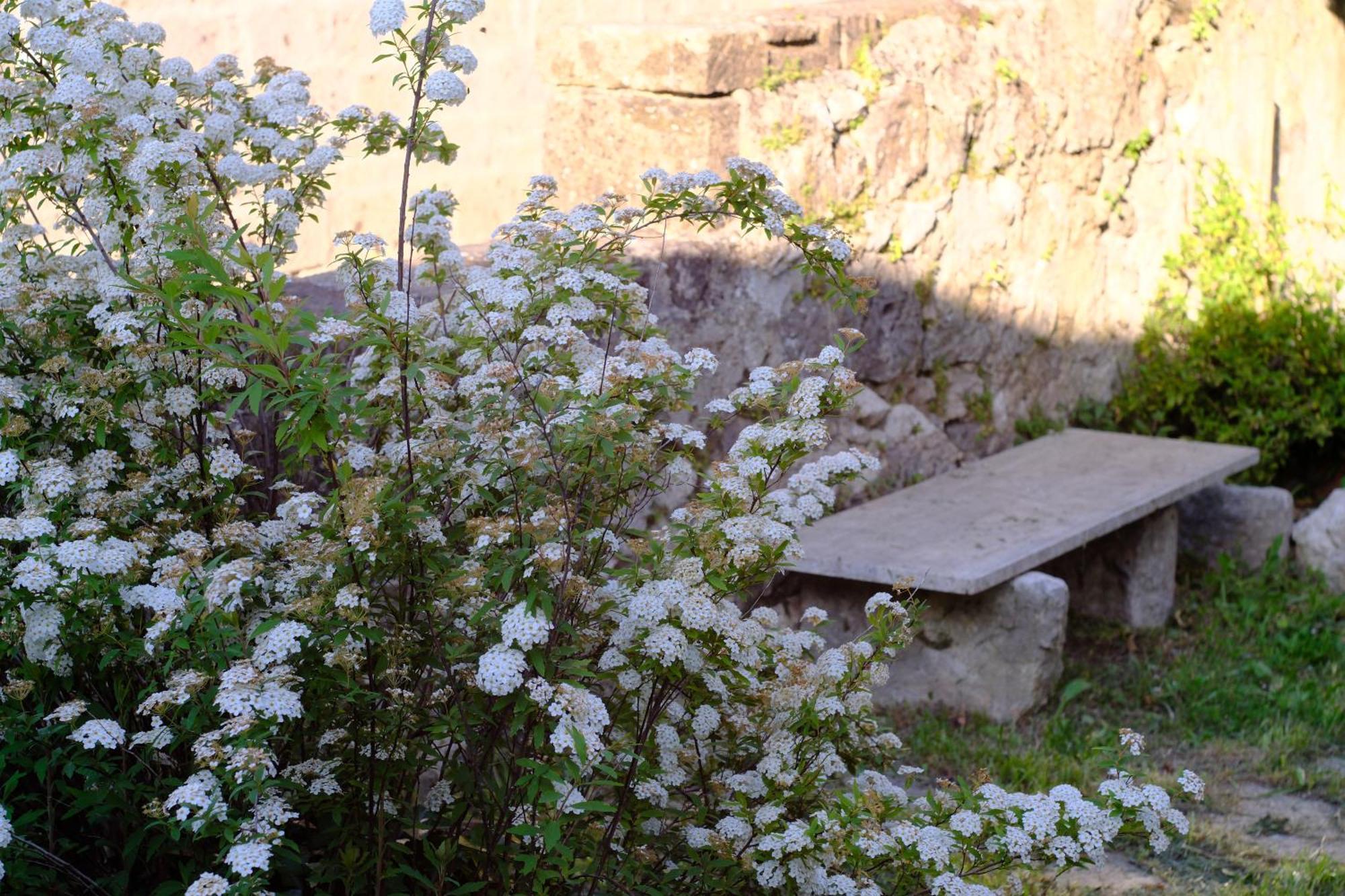 Conte Spencer Bed and Breakfast Caserta Vecchia Εξωτερικό φωτογραφία