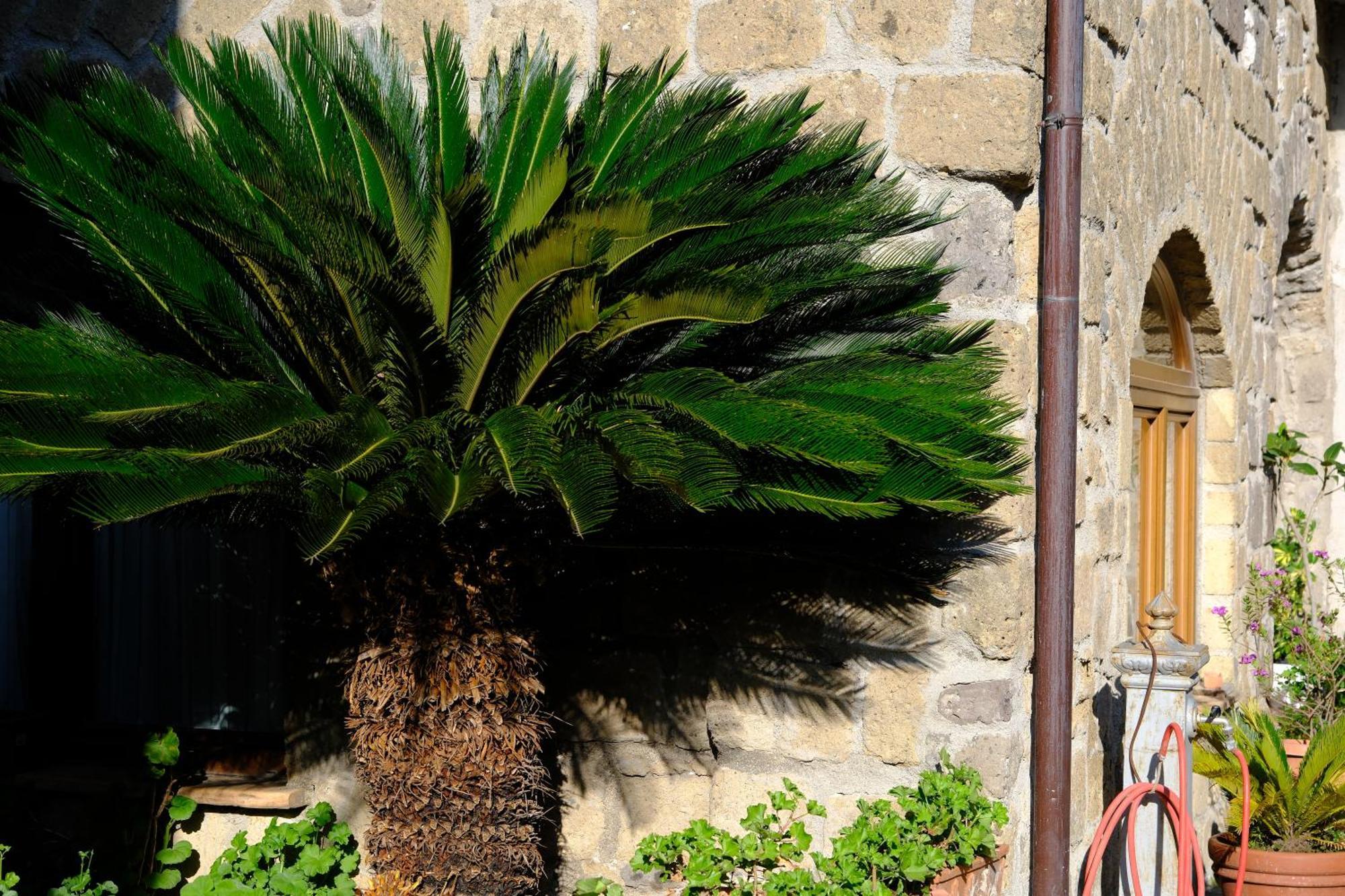 Conte Spencer Bed and Breakfast Caserta Vecchia Εξωτερικό φωτογραφία