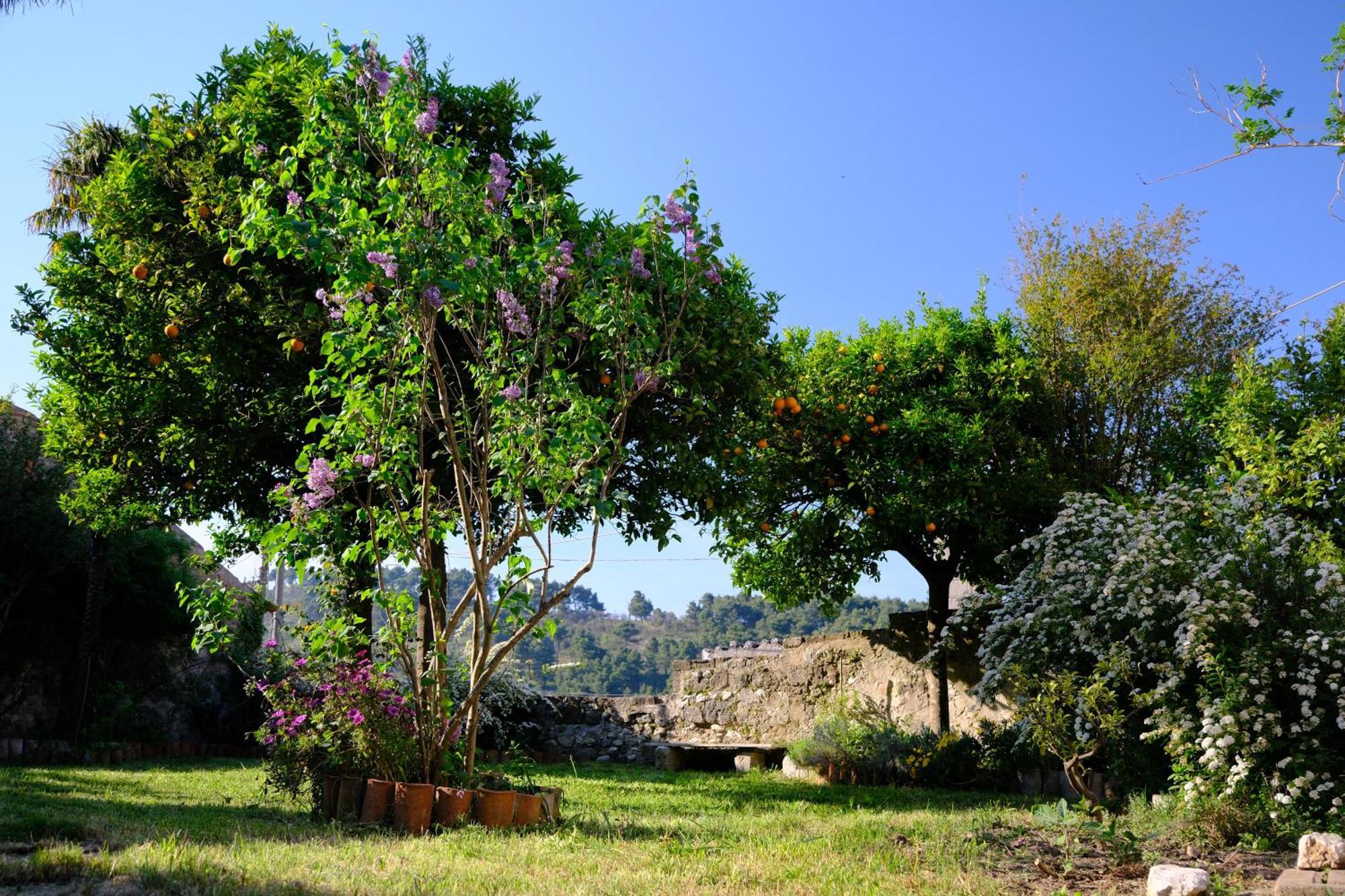 Conte Spencer Bed and Breakfast Caserta Vecchia Εξωτερικό φωτογραφία