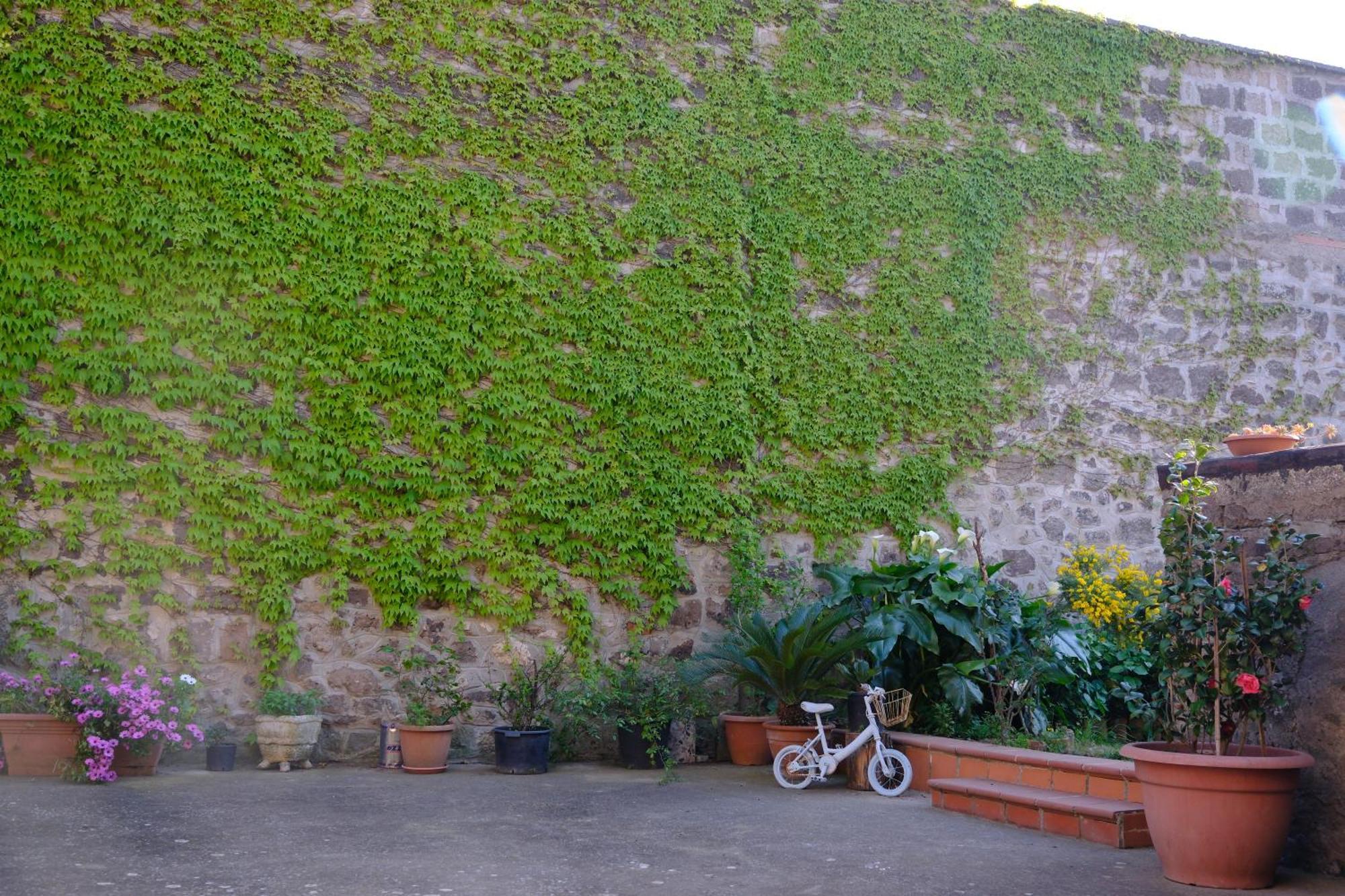 Conte Spencer Bed and Breakfast Caserta Vecchia Εξωτερικό φωτογραφία
